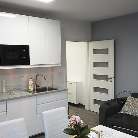Paskal Rose Luxury Penthouse With Free Parking Apartment Budapest